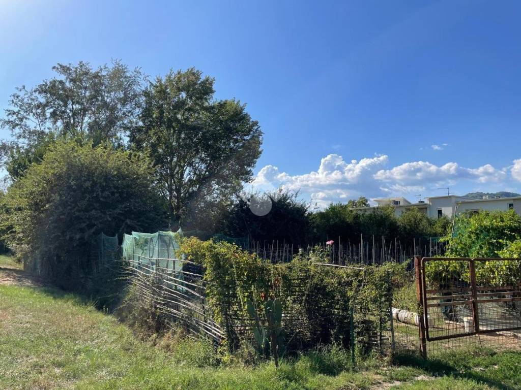 Terreno a Buggiano in Via Giovannini - Foto 5