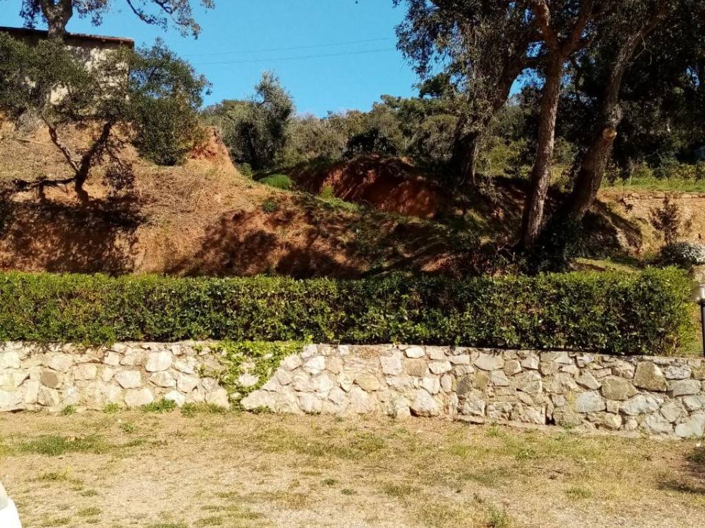 Terreno a Rio - Foto 4
