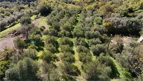 Terreno a Prignano cilento in località tempa - Foto 2