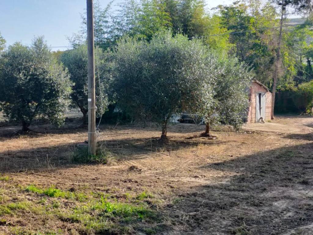 Villetta a schiera a Ostra in Via della Chiusa, 11 - Foto 4