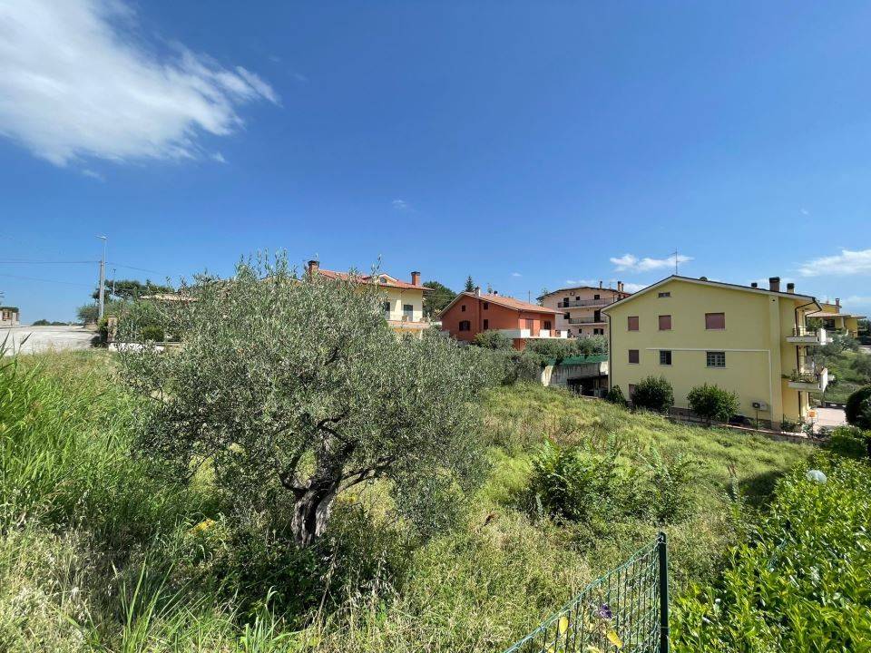 Terreno a Torricella sicura in Via P. Antonio Profico 64010 - Foto 2