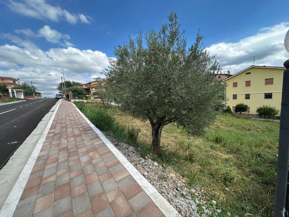 Terreno a Torricella sicura in Via P. Antonio Profico 64010 - Foto 3