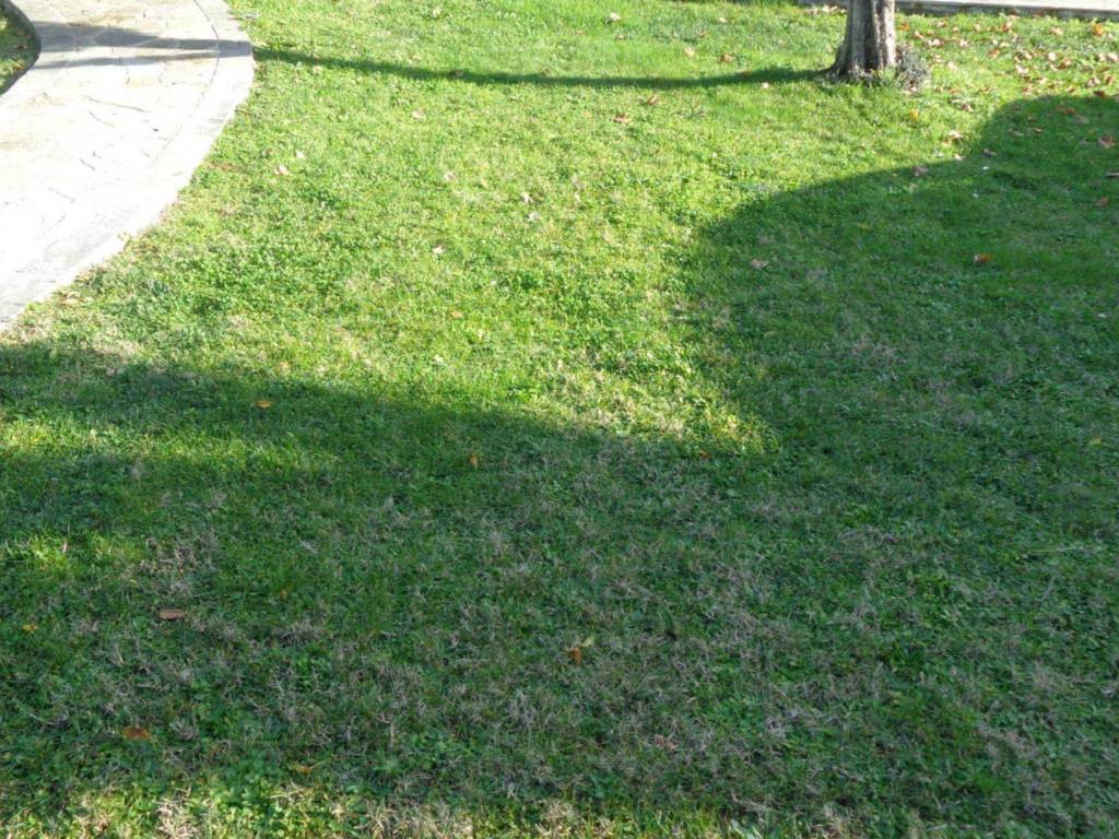 Villa a Prato in Via 27 Aprile - Foto 3