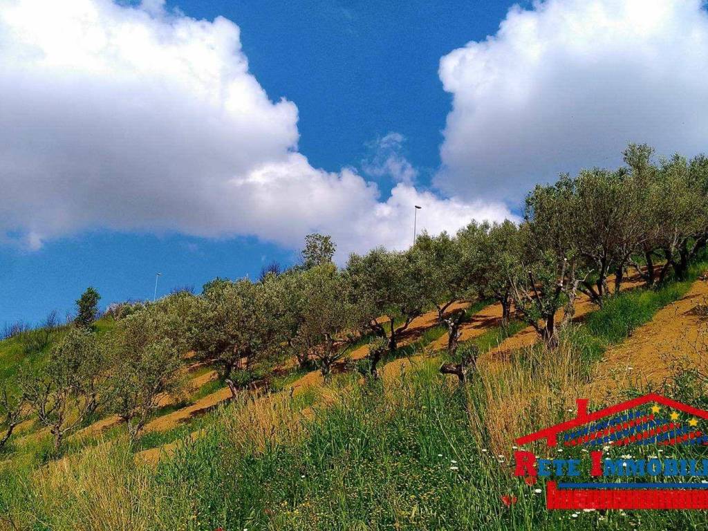 Terreno a Cosenza - Foto 2