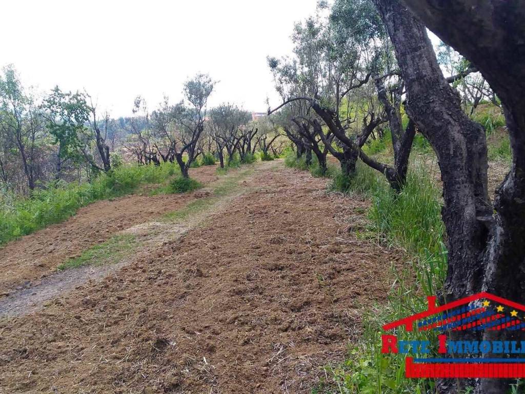Terreno a Cosenza - Foto 3
