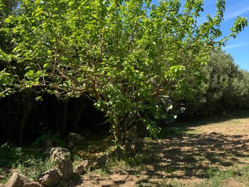Casa indipendente a Gergei in Via 25 Aprile - Foto 2