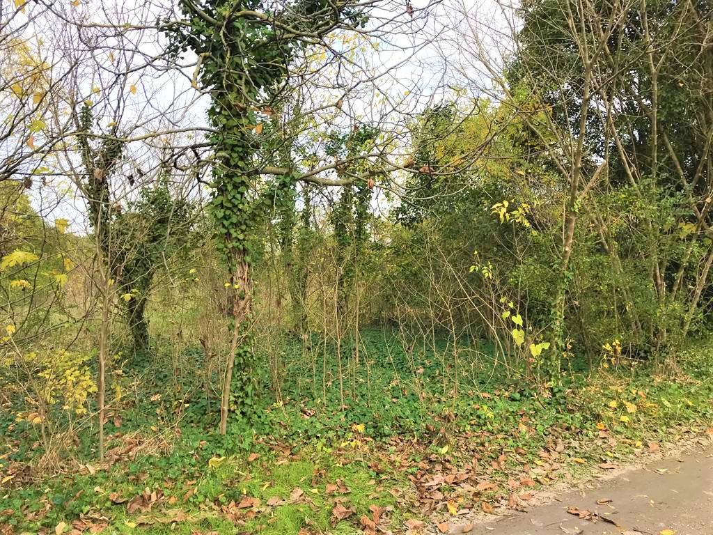 Terreno a Gradisca d'isonzo in Via Aquileia - Foto 2