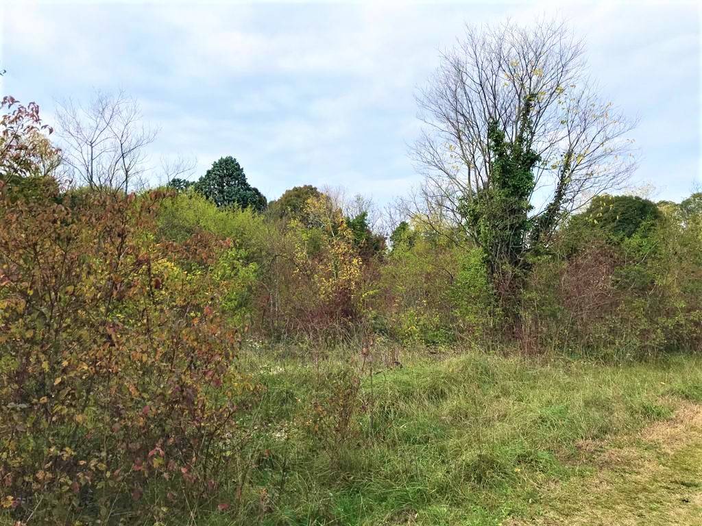Terreno a Gradisca d'isonzo in Via Aquileia - Foto 4