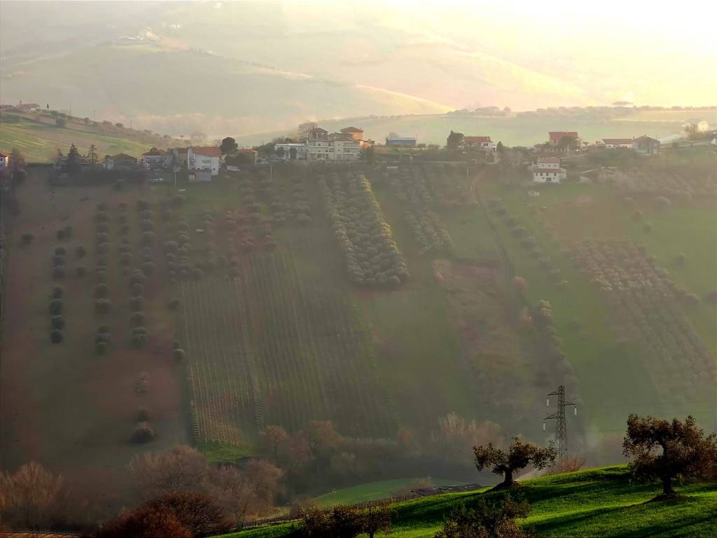 Terreno a Atri in Contrada Treciminiere - Foto 3