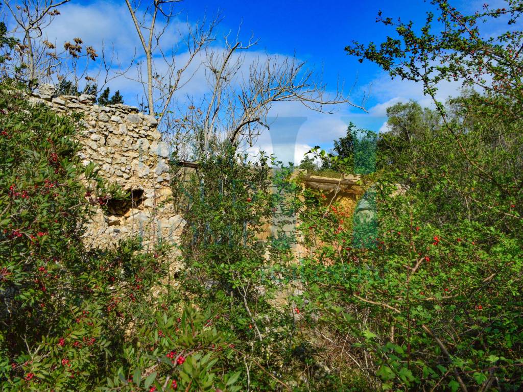 Rustico / casale a Noto in Via Tommaso Fazello, 228 - Foto 4