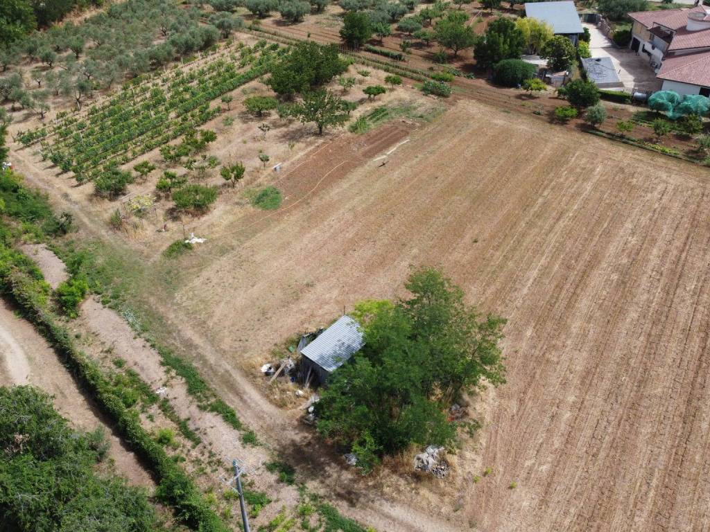 Terreno a Cepagatti in Via di Luzio - Foto 3