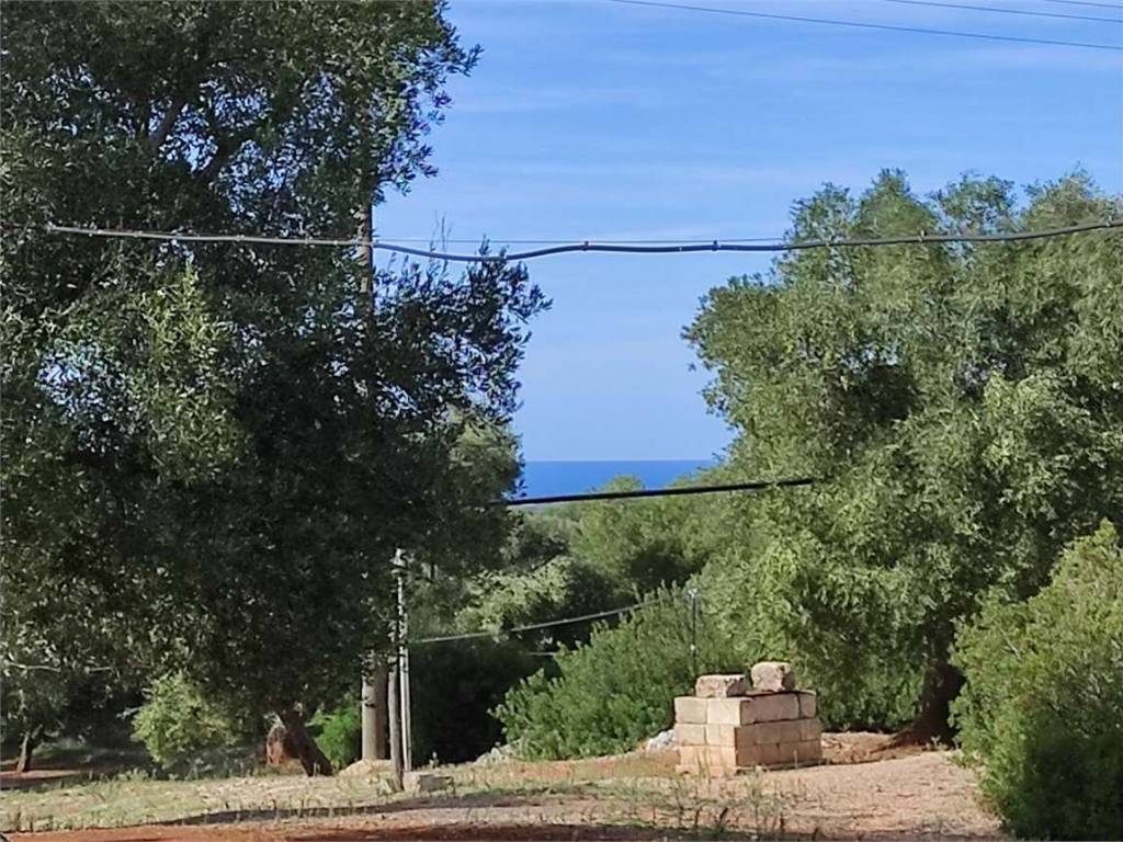 Terreno a Carovigno - Foto 4