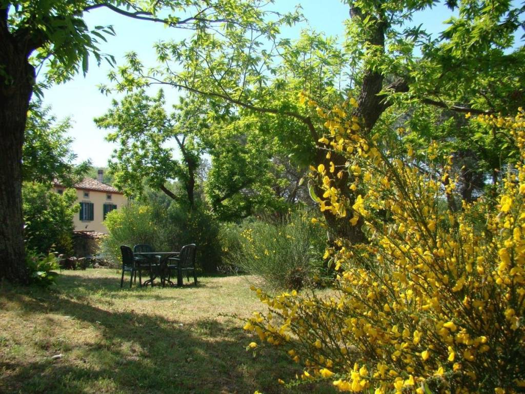 Casa indipendente a Castel del piano in Località Tepolini 16 - Foto 2