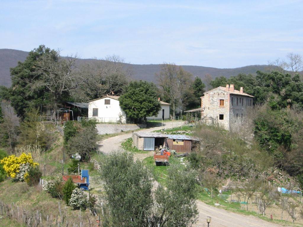 Rustico / casale a Acquapendente - Foto 2