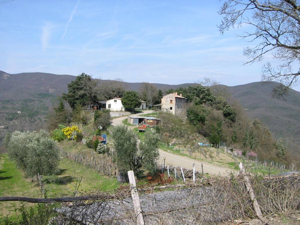 Rustico / casale a Acquapendente - Foto 5