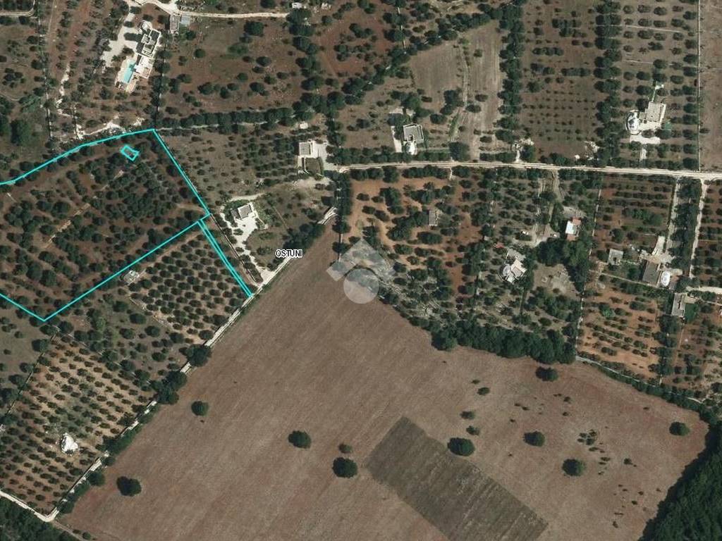 Terreno a Ostuni - Foto 2
