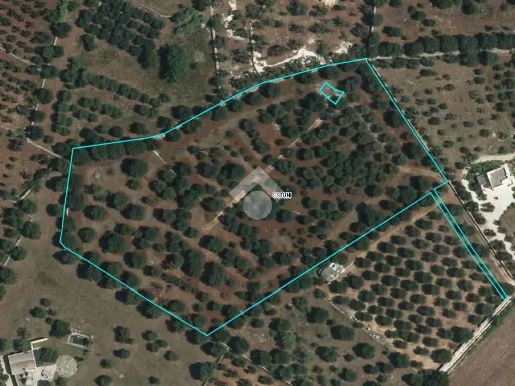 Terreno a Ostuni - Foto 3