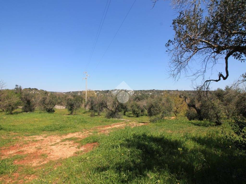 Terreno a Ostuni - Foto 5