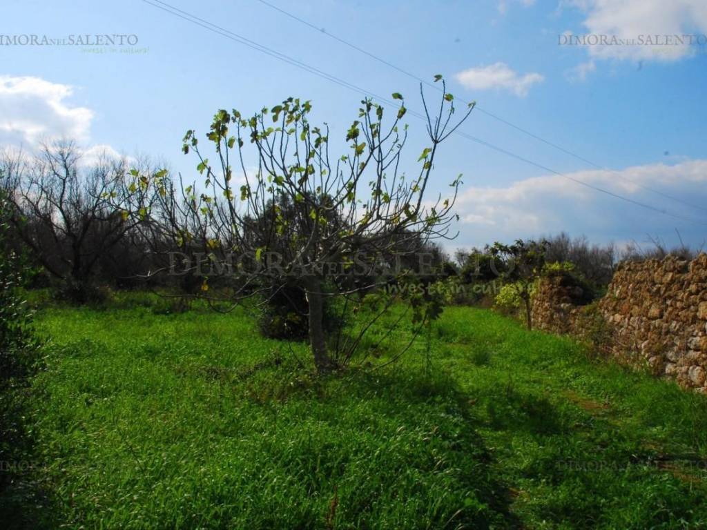Terreno a Salve in SP 292 - Foto 4