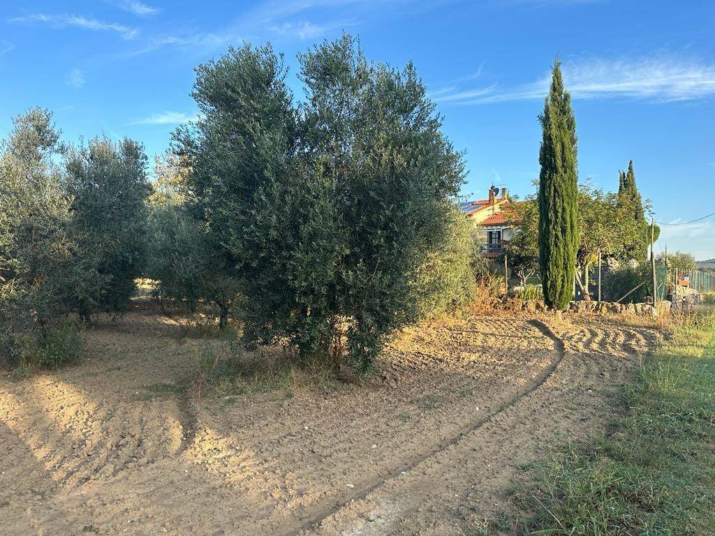 Rustico / casale a Magliano in toscana - Foto 4