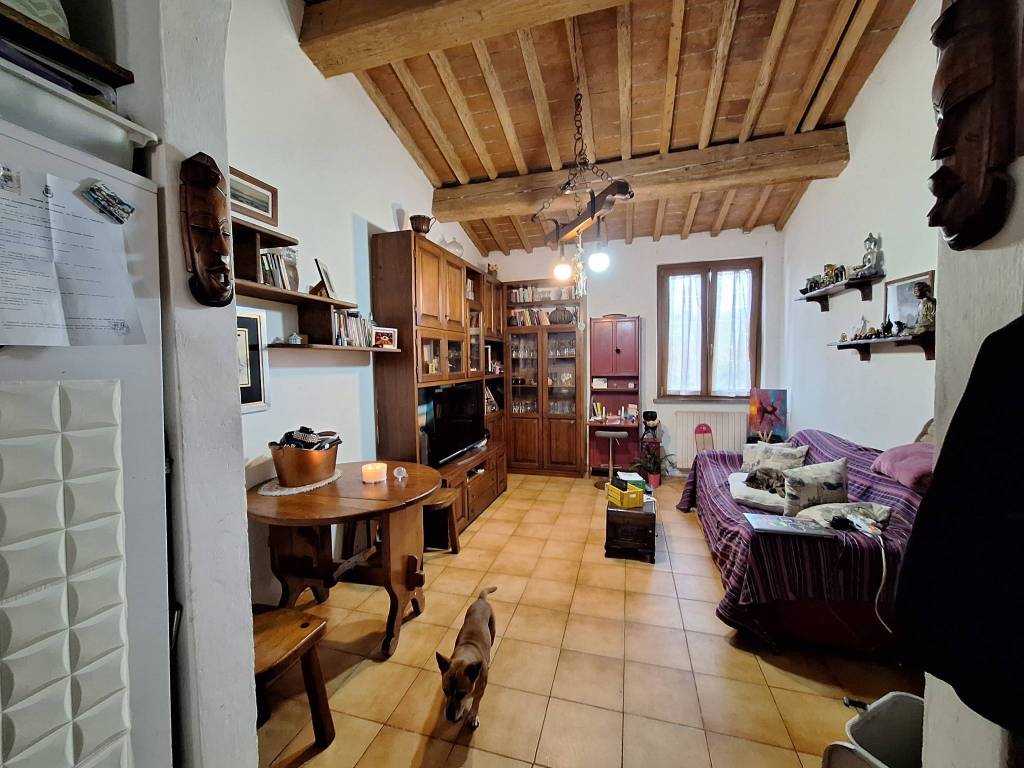 Appartamento a Collesalvetti in tanna alta - Foto 4