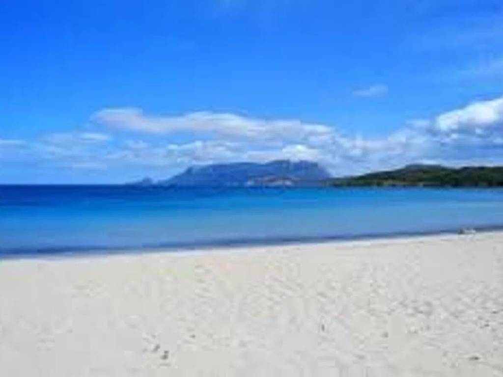 Villa a Golfo aranci in Golfo Aranci S.N.C. - Foto 4
