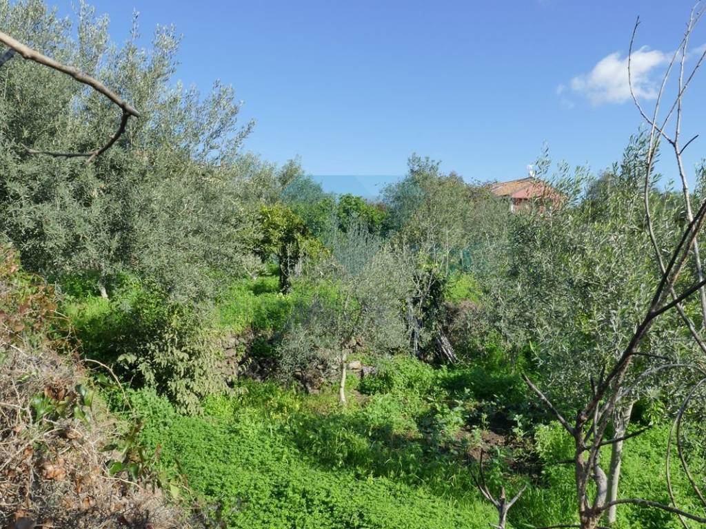 Terreno a Gravina di catania in Via Sandro Botticelli - Foto 5
