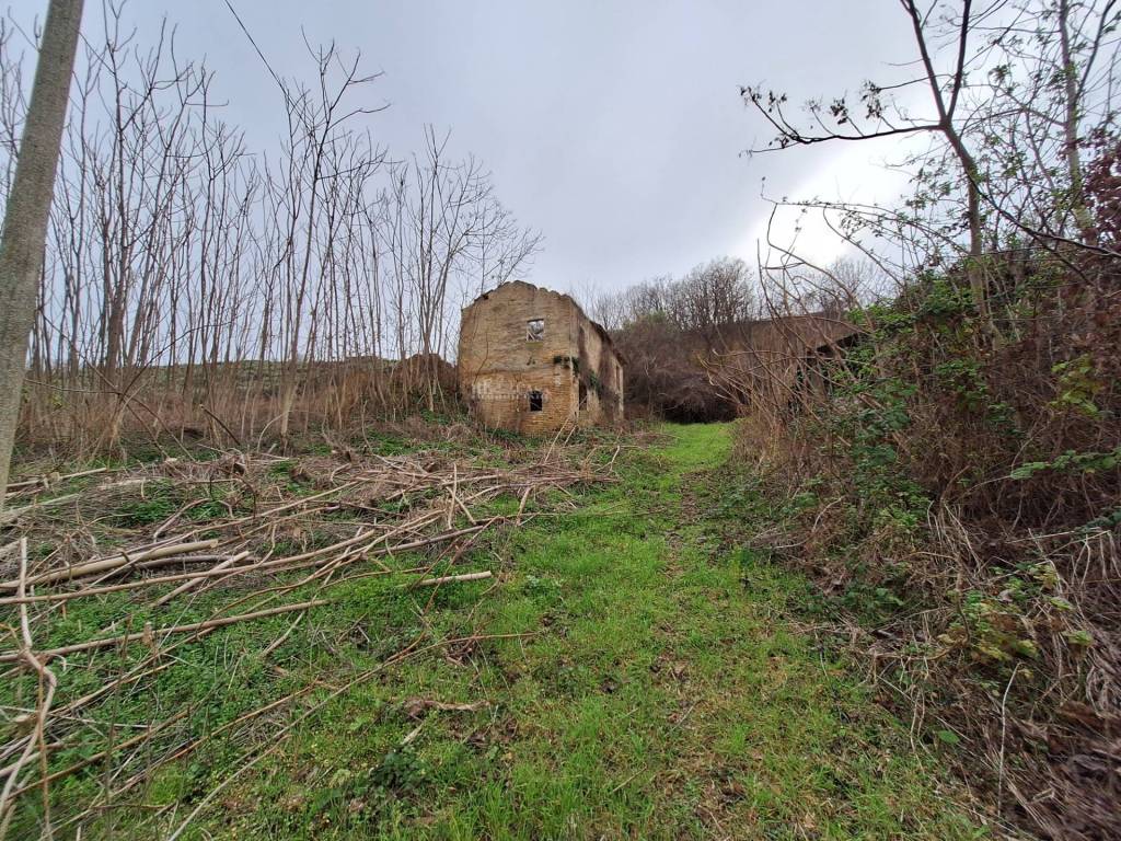 Rustico / casale a Controguerra in contrada san venanzio - Foto 2