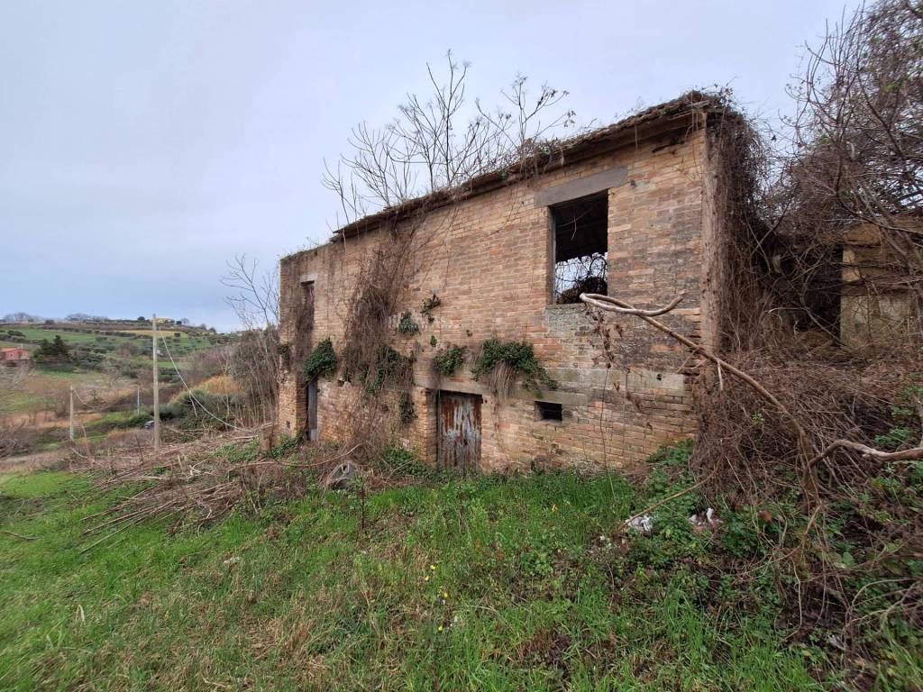 Rustico / casale a Controguerra in contrada san venanzio - Foto 4