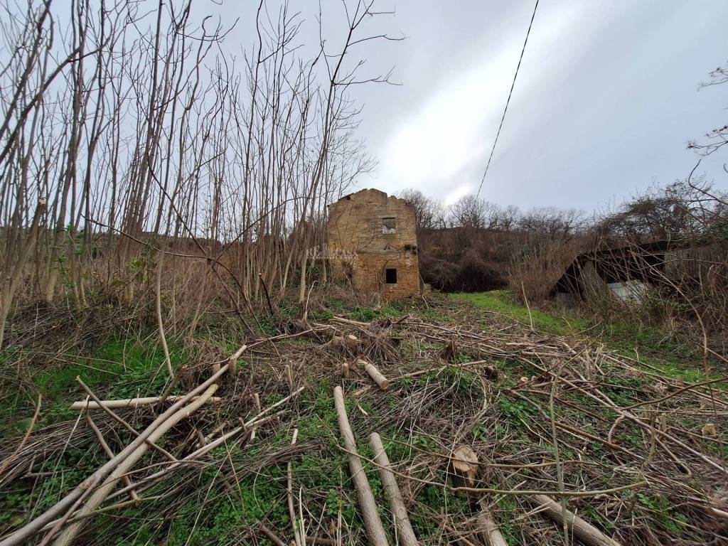 Rustico / casale a Controguerra in contrada san venanzio - Foto 5
