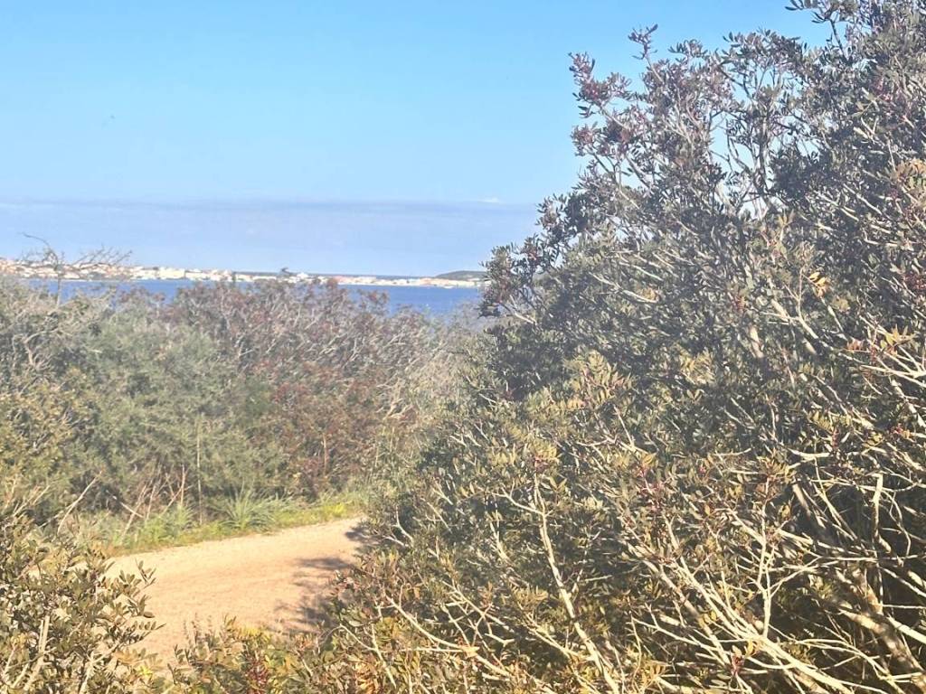 Terreno a Golfo aranci in Via Molara - Foto 4