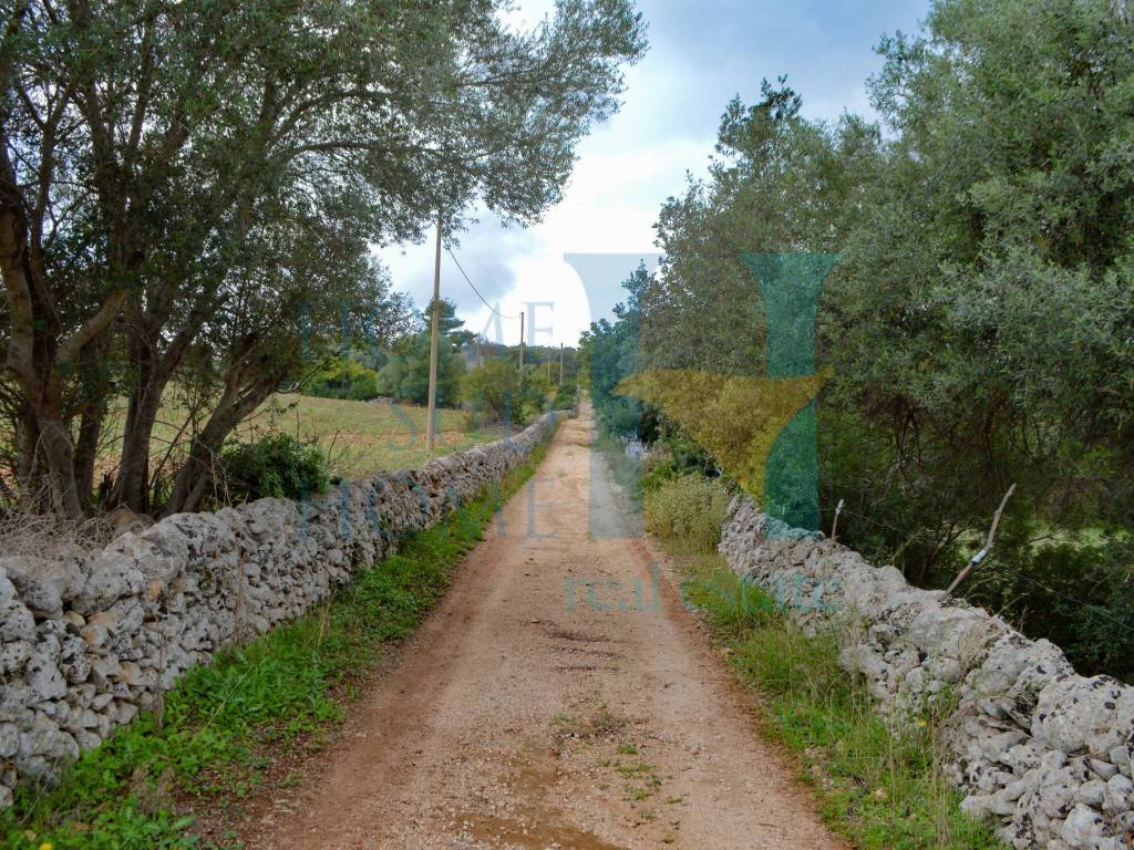 Rustico / casale a Noto in Via Tommaso Fazello, 228 - Foto 2