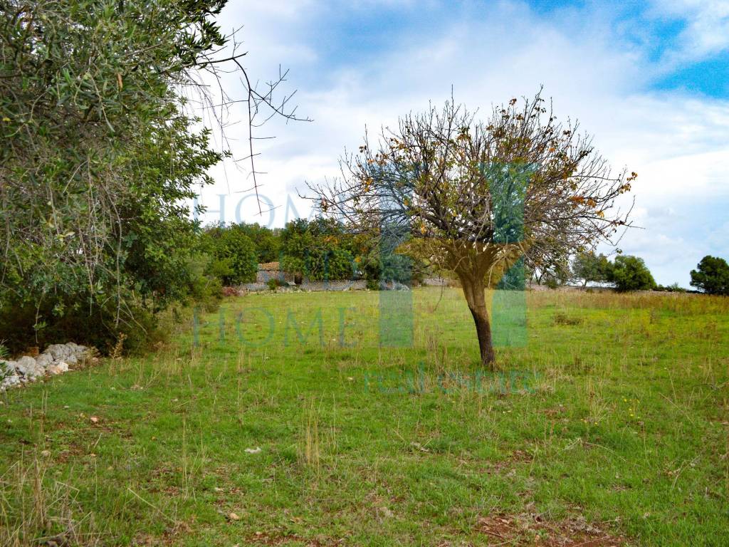 Rustico / casale a Noto in Via Tommaso Fazello, 228 - Foto 4
