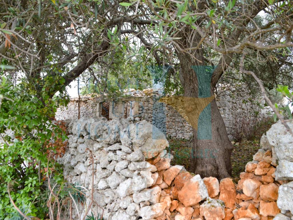 Rustico / casale a Noto in Via Tommaso Fazello, 228 - Foto 5