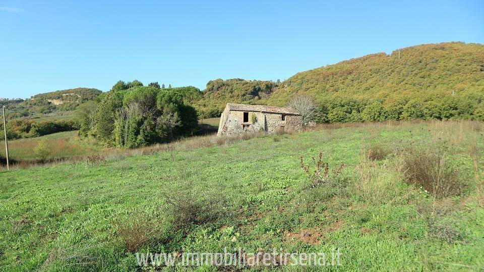 Rustico / casale a Ficulle - Foto 2