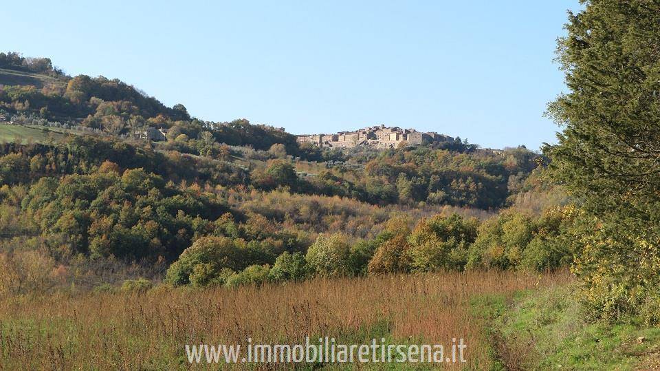 Rustico / casale a Ficulle - Foto 4