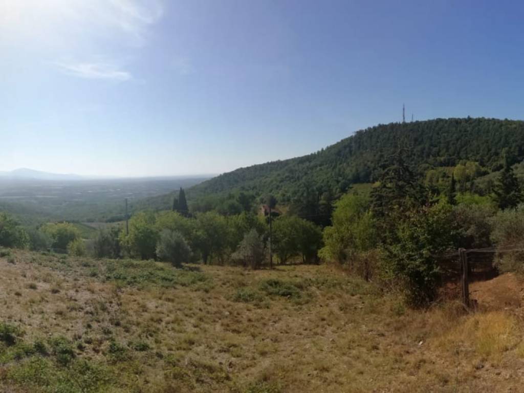 Terreno a Civitella in val di chiana - Foto 5