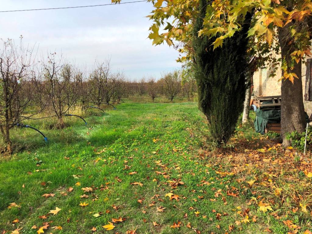 Rustico / casale a Spilamberto - Foto 2