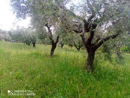 Terreno a Lanciano in Contrada Marcianese - Foto 2
