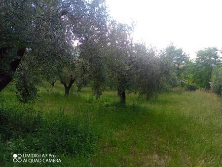 Terreno a Lanciano in Contrada Marcianese - Foto 4