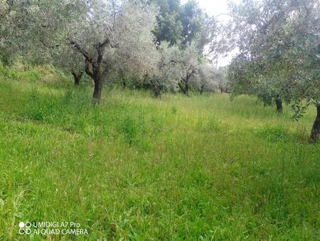 Terreno a Lanciano in Contrada Marcianese - Foto 5