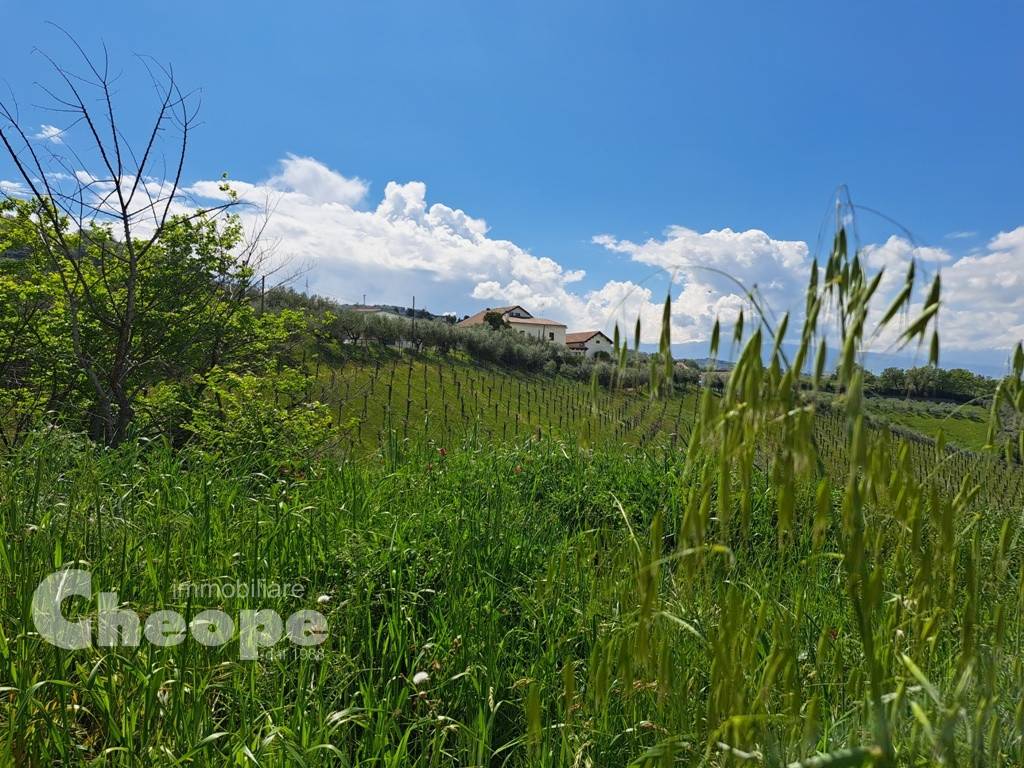 Loft / open space a Chieti - Foto 5