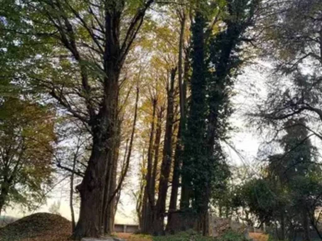 Rustico / casale a Mogliano veneto in Via Bonisiolo - Foto 3