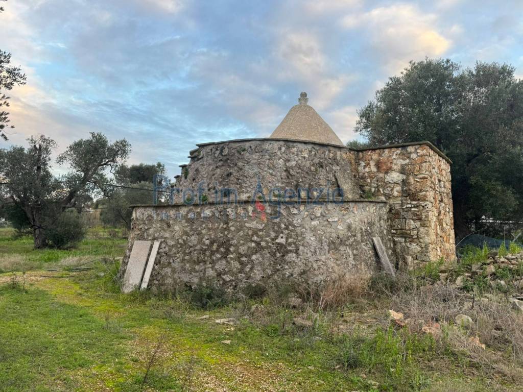 Rustico / casale a Carovigno - Foto 3