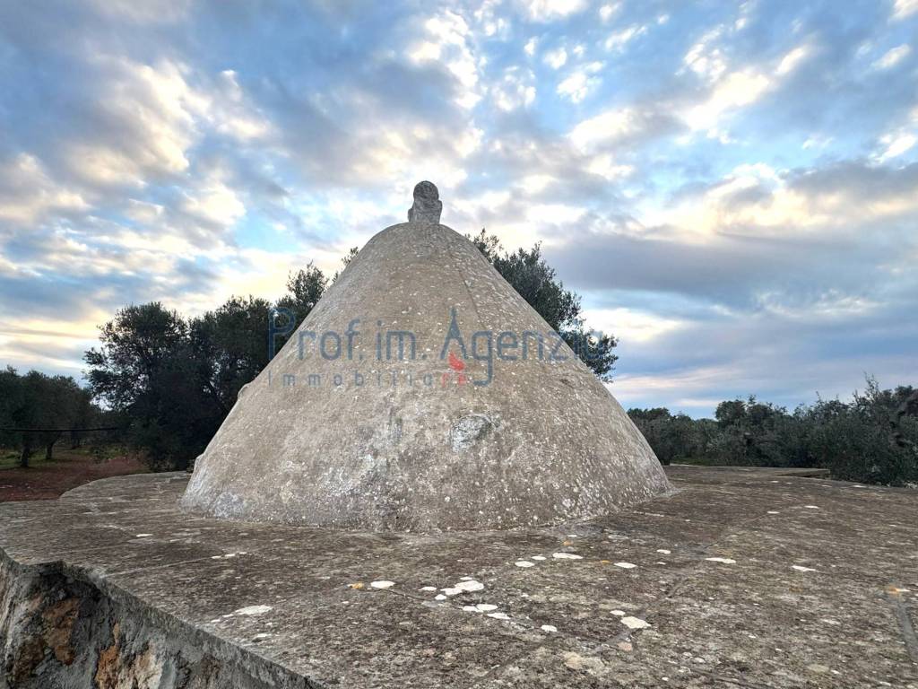 Rustico / casale a Carovigno - Foto 4