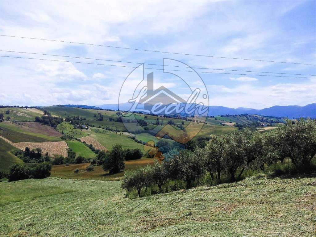 Rustico / casale a Tolentino in C.DA PATERNO - Foto 2