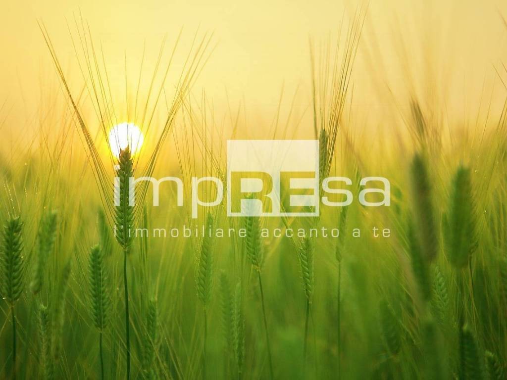 Terreno a Paese in via Sovernigo - Foto 1