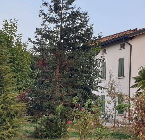 Villetta a schiera a Carpi in Via Sott'Argine 54 - Foto 2