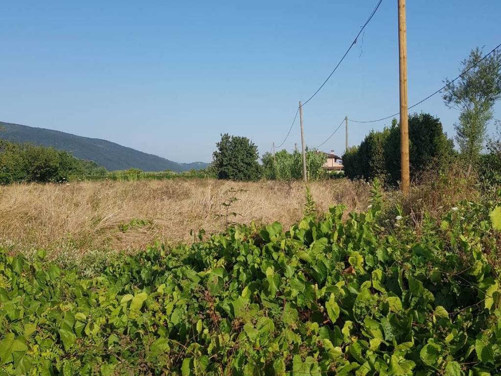 Terreno a Sarzana - Foto 2