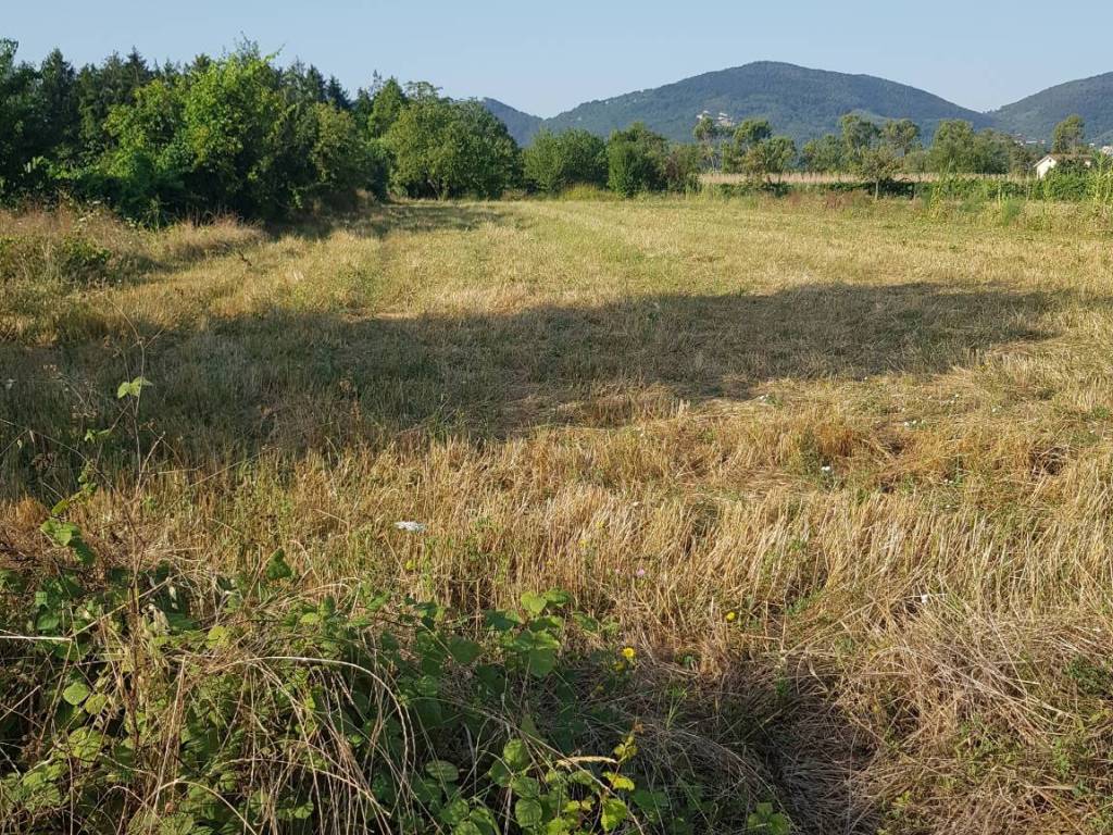 Terreno a Sarzana - Foto 3